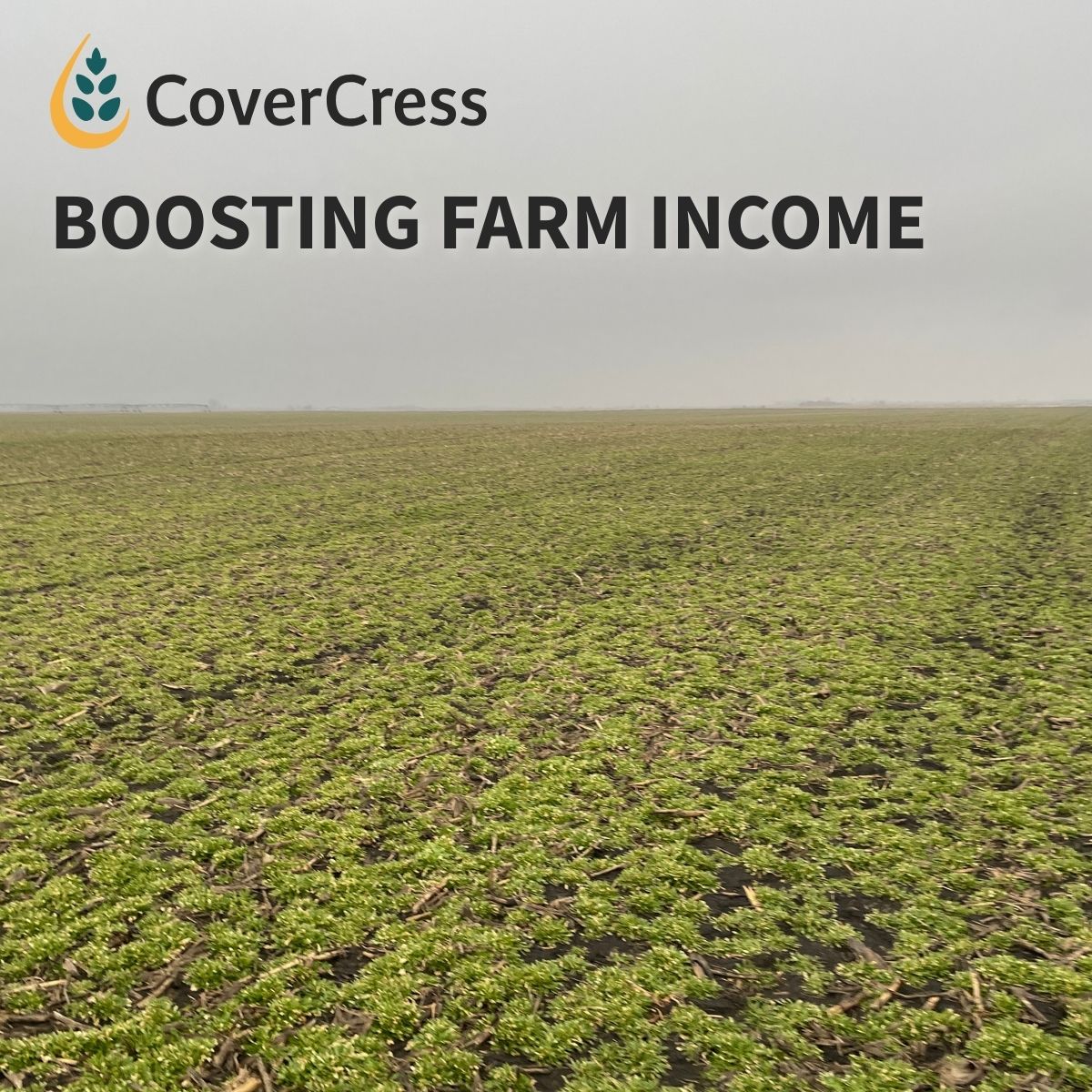 CoverCress Inc. tweet media