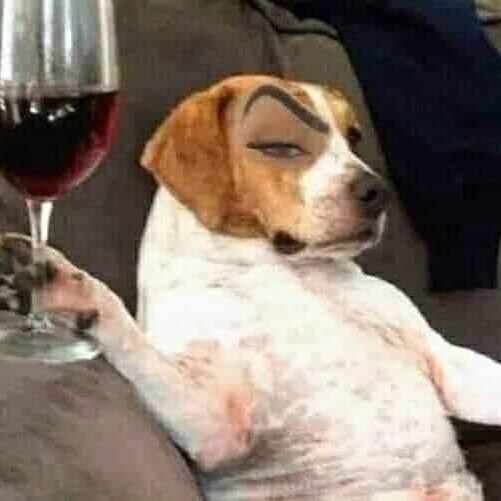 _batmans_mentor's tweet image. #SpotTheDifference