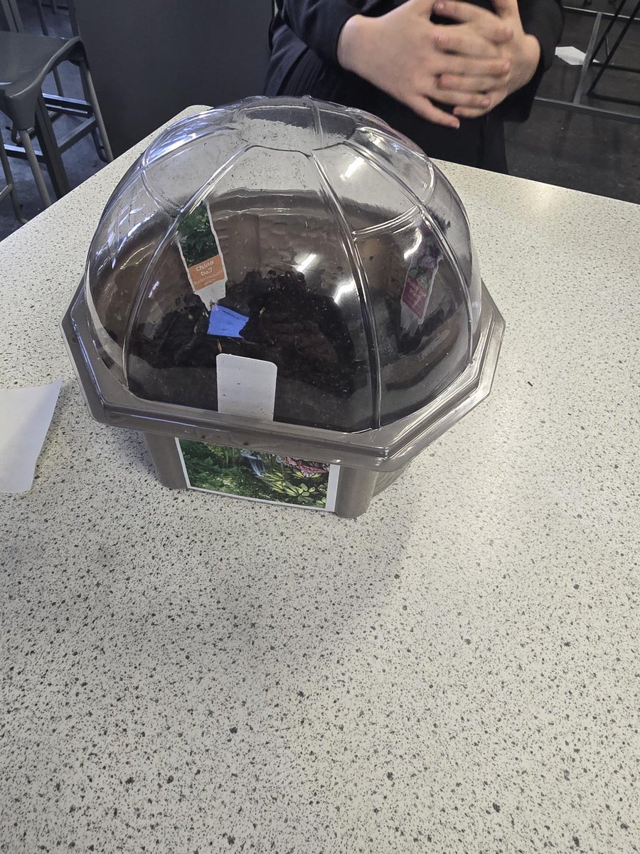 Science@PoolHayes tweet media