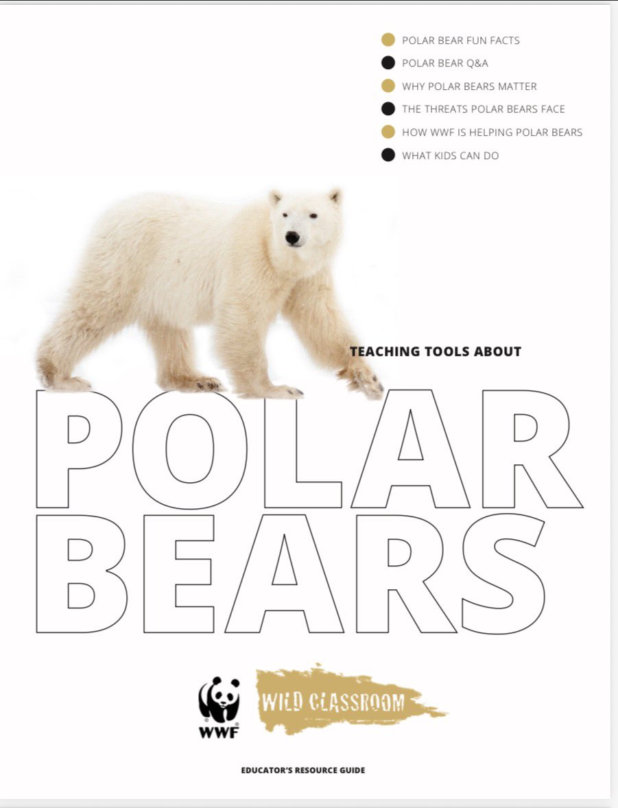 Science@PoolHayes tweet media