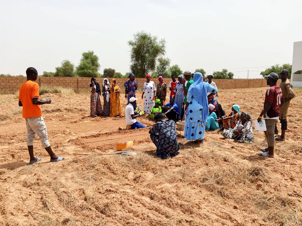 CONEMUND's tweet photo. Antes del proyecto “Liderazgo de mujeres en la cadena agroecológica” en Mbolo Birane (#Senegal), su capacidad de decisión era limitada.

Sin riego estable.
Sin almacenamiento.
Sin fuerza en el mercado.
El problema era estructural.
Descubre el proyecto en: https://t.co/FEqXF6cKmi https://t.co/fMCJQBTMzi
