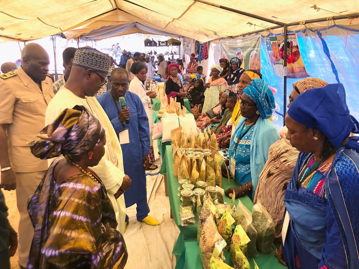 CONEMUND's tweet photo. Antes del proyecto “Liderazgo de mujeres en la cadena agroecológica” en Mbolo Birane (#Senegal), su capacidad de decisión era limitada.

Sin riego estable.
Sin almacenamiento.
Sin fuerza en el mercado.
El problema era estructural.
Descubre el proyecto en: https://t.co/FEqXF6cKmi https://t.co/fMCJQBTMzi