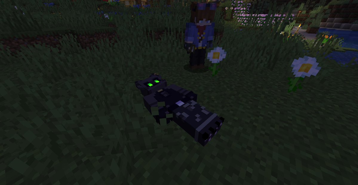 Shiny SMP tweet media