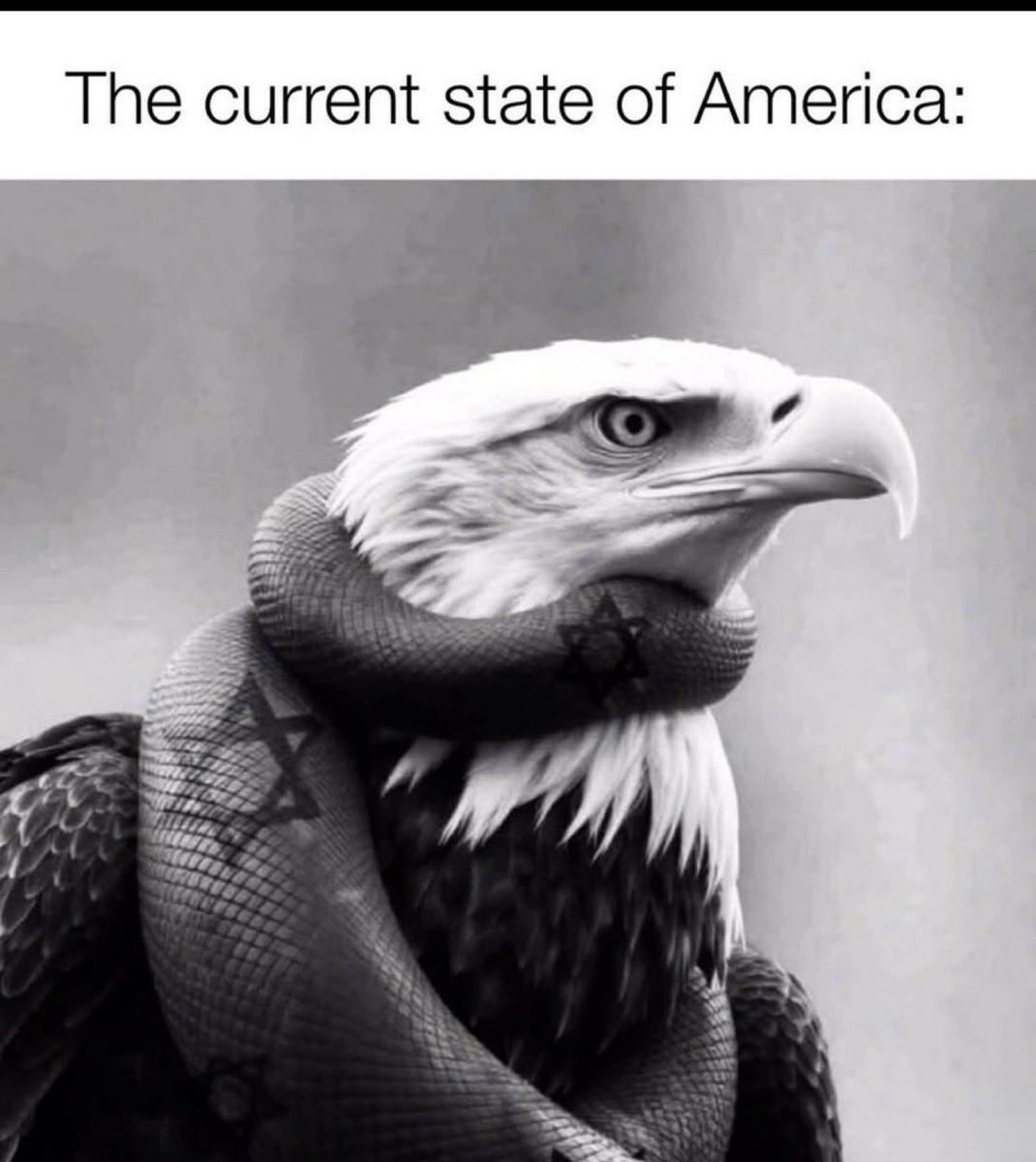 ⚡️AmericaOnly⚡️ tweet media