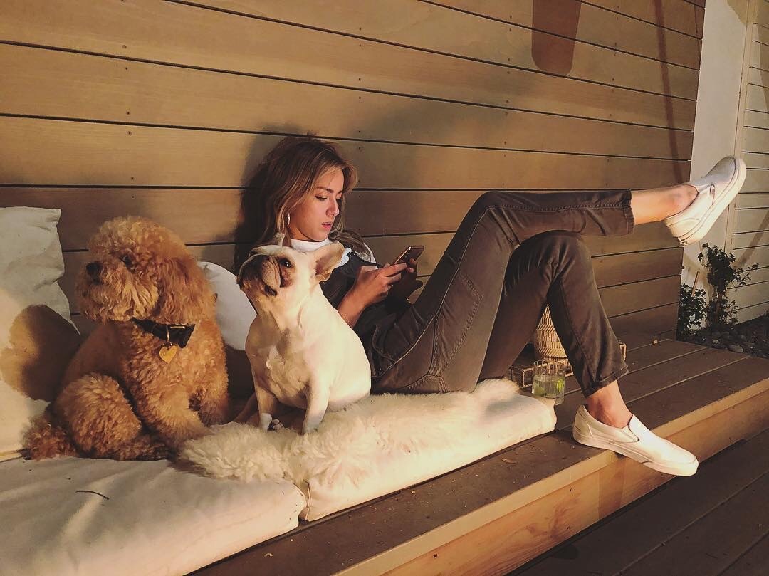 𝘋𝘢𝘪𝘴𝘺 𝗤𝘂𝗮𝗸𝗲 (Parody) tweet media