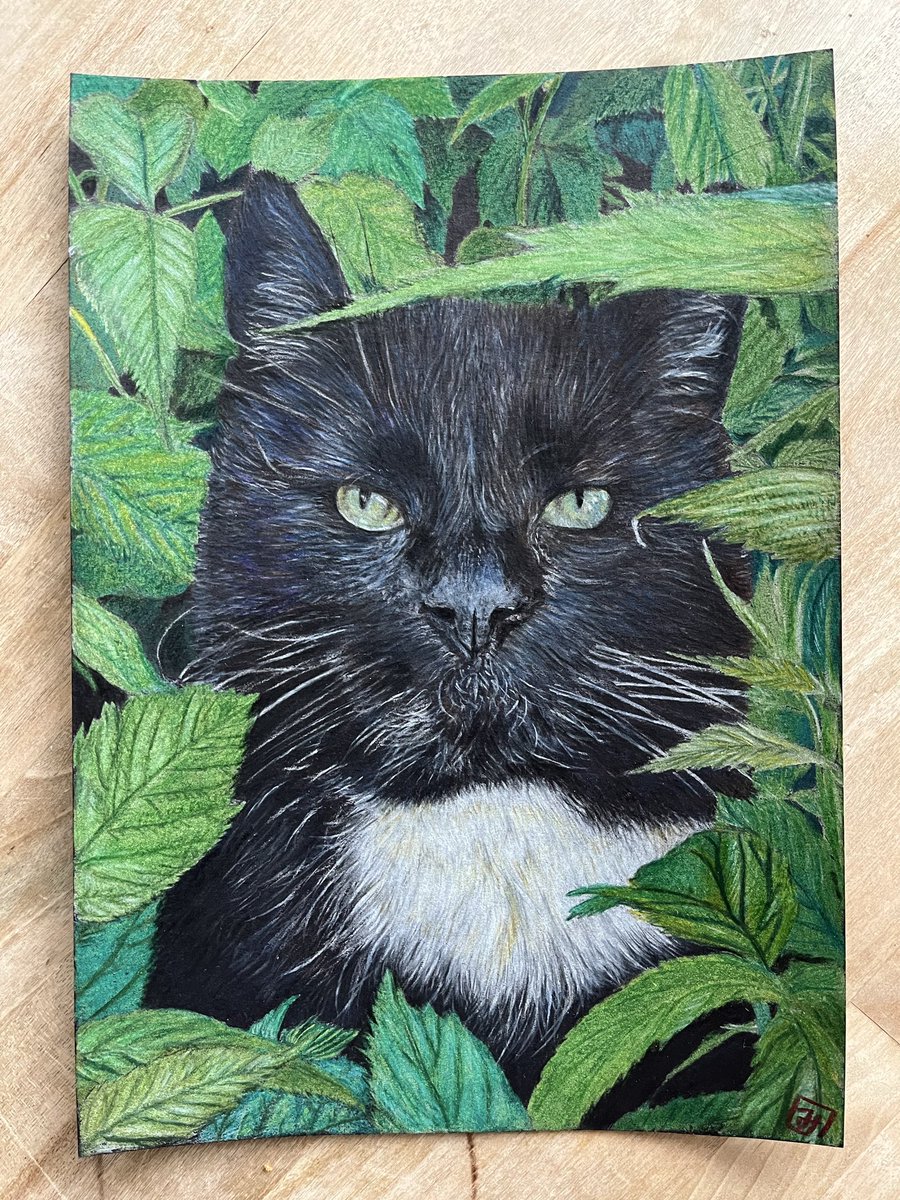 猫2=完成 #色鉛筆画 #猫 #drawingart