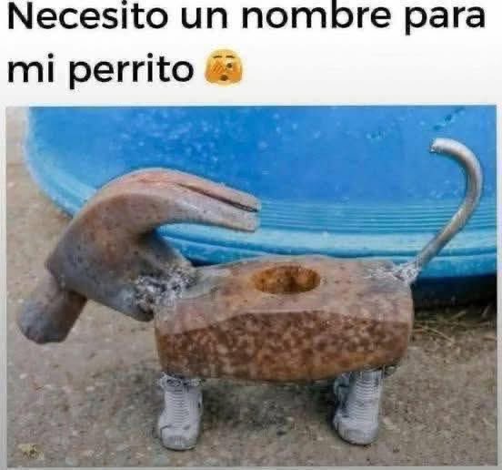 PensamientosX tweet media