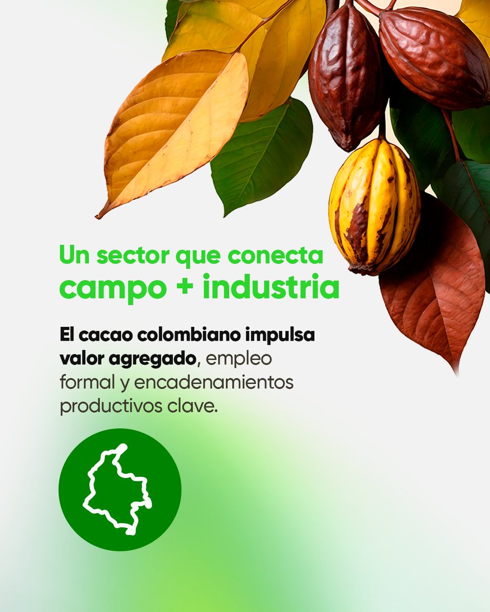 Econexia tweet media