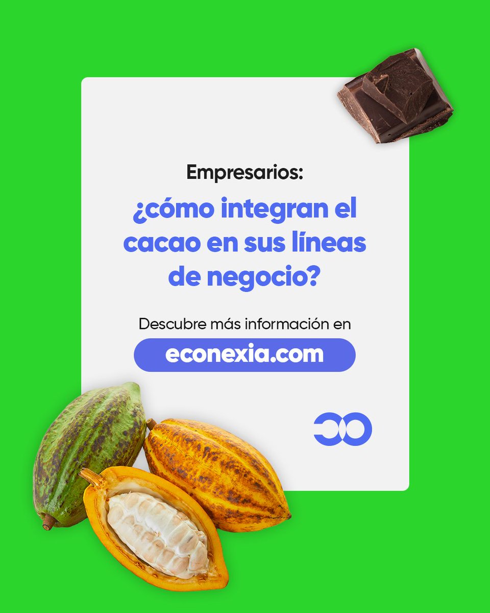 Econexia tweet media