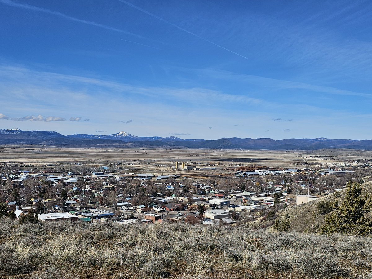 Deborah Simpier tweet media