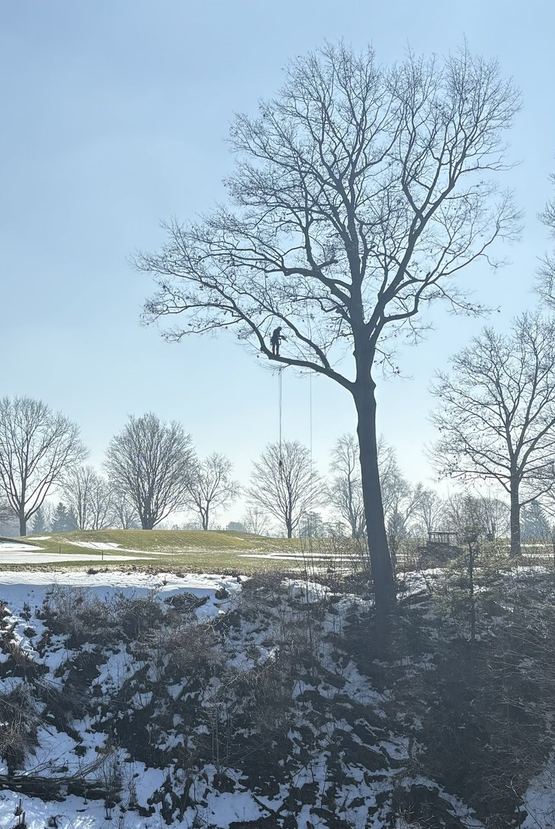 LHCC Grounds tweet media