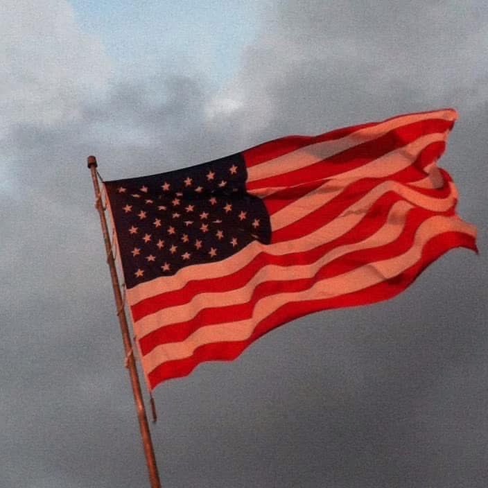 Mitch Llewellyn tweet media