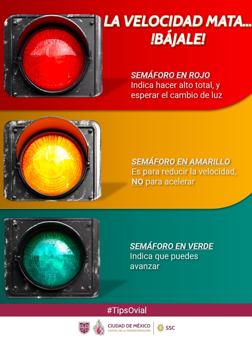 OVIAL_SSCCDMX tweet media