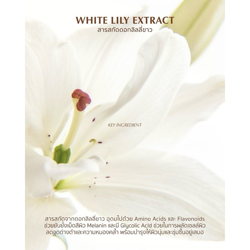 xixnutxx's tweet photo. FEM White Lily Deodorant Spray ขนาด 100ml.
เป็นสเปรย์ระงับเหงื่อและกลิ่นกาย ปราศจากแอลกอฮอล์

เรื่องกลิ่นเรื่องใหญ่ ตัวนี้ดีจนอยากบอกต่อ
พิกัด : https://t.co/DFKtBWuC0Y

 #ShopeeTH #ของดีบอกต่อ #ใช้แล้วชอบ https://t.co/XxbLanZrPa