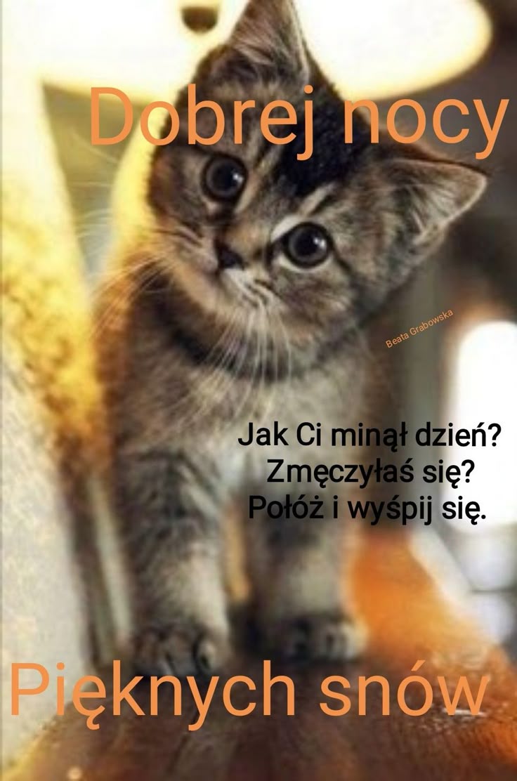 Maria Marysia (@mmarysia53282) on Twitter photo 