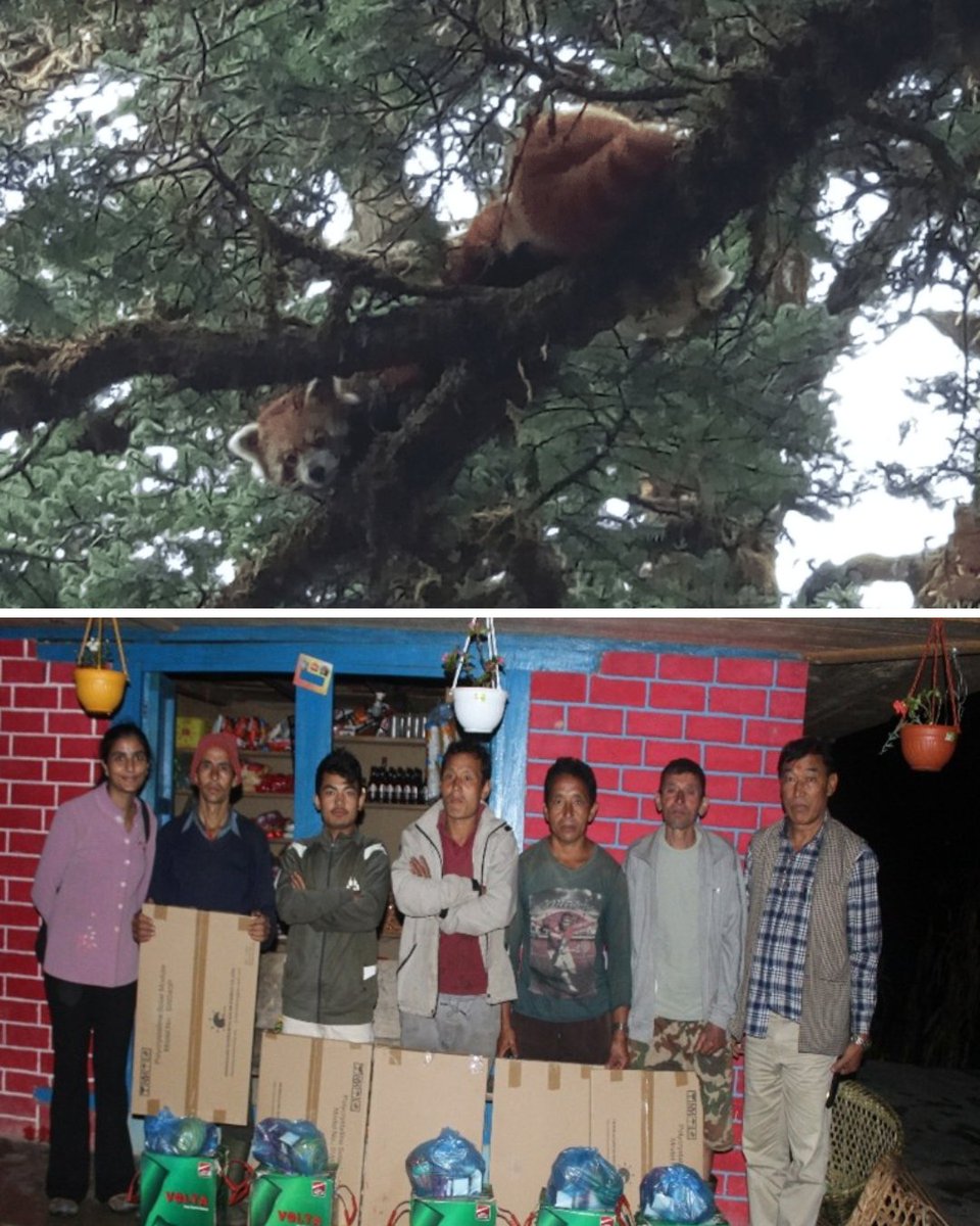 Red Panda Network tweet media