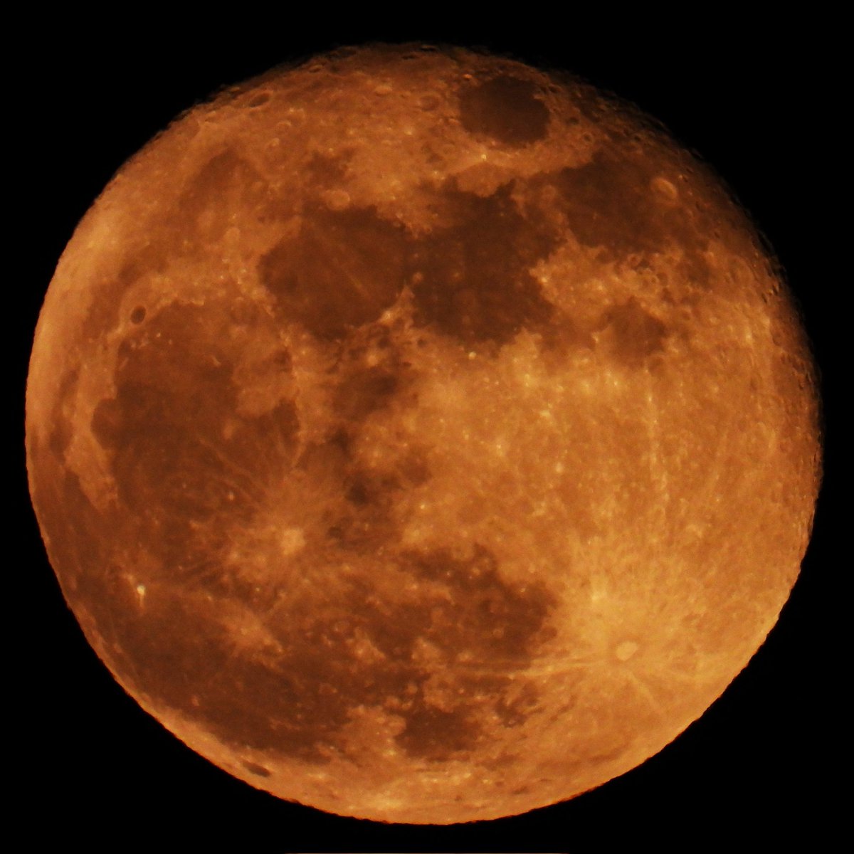 Epiphany tweet media