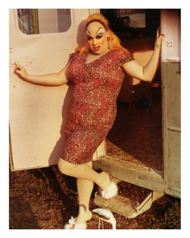 Alquimia tweet media