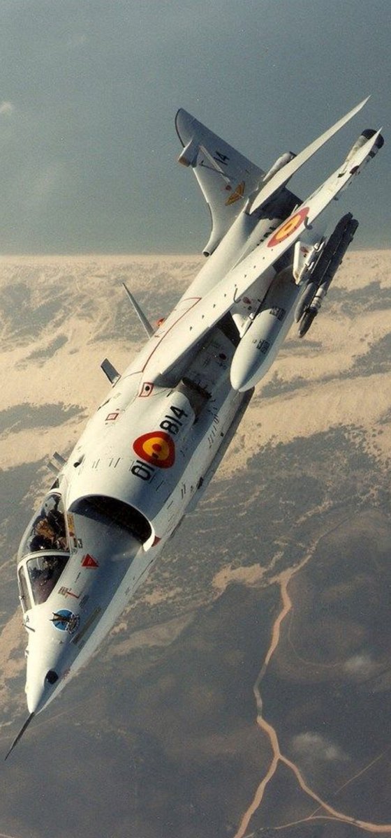 Novena Virtual tweet media