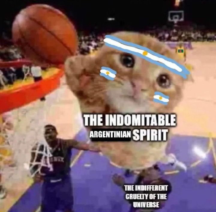 Innombrable tweet media