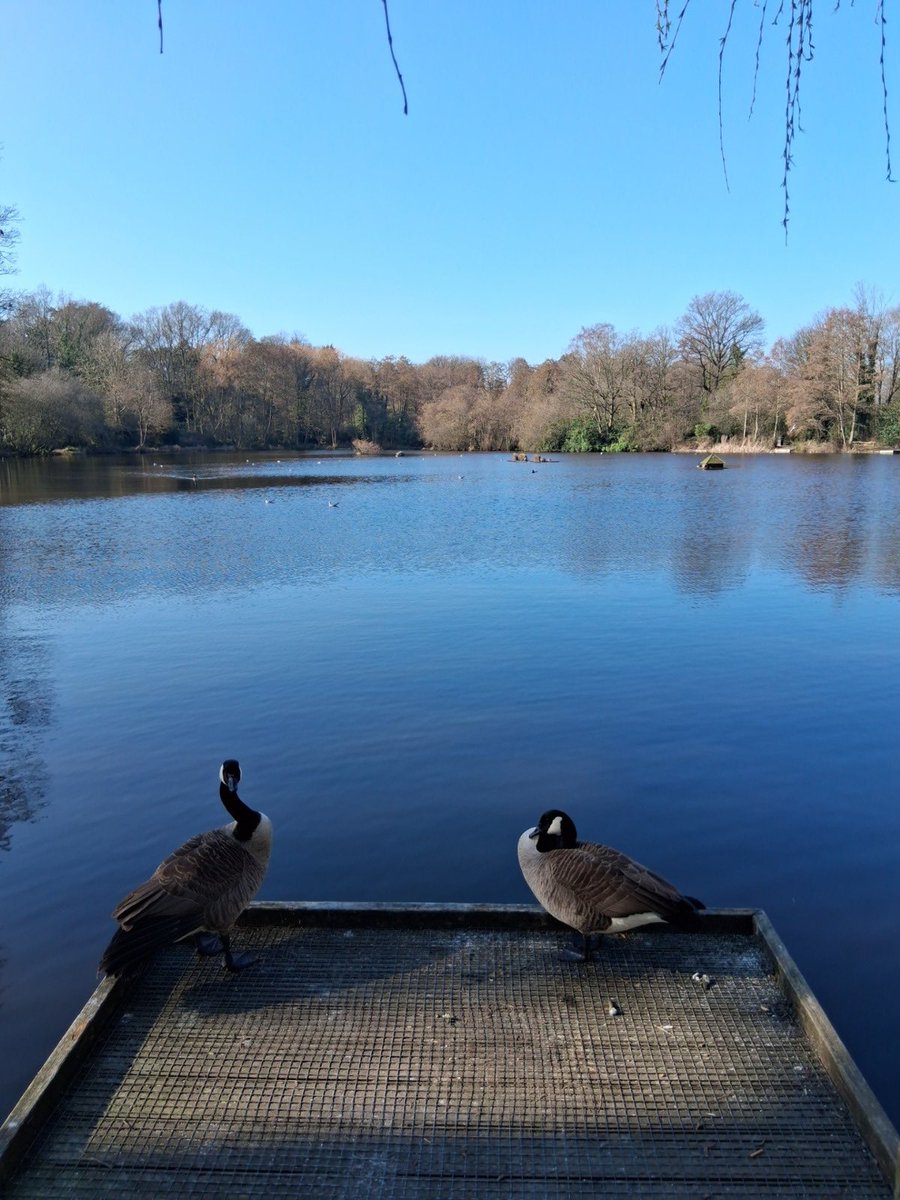 LynnParsonsUK's tweet image. Simon Our Wrexham correspondent has shared a Blue Sky &amp;amp; Hearts in Coffee #WindowOnYourWorld Thank You @magicfm #MellowMagic 💛💛💛💛