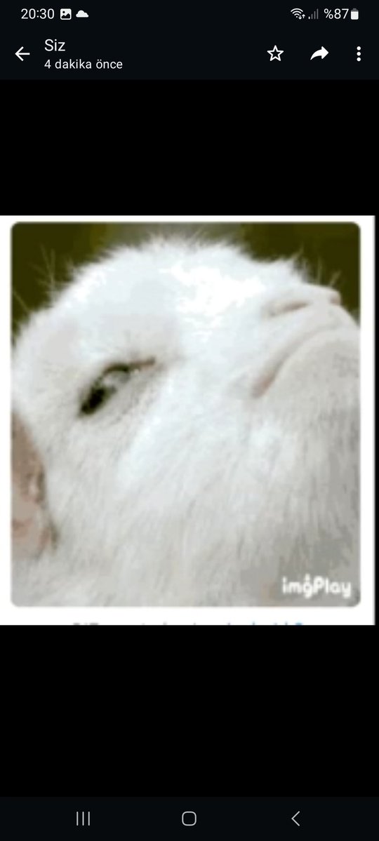 İspanya ile flörtleştiğimizi gören azerbaycan.