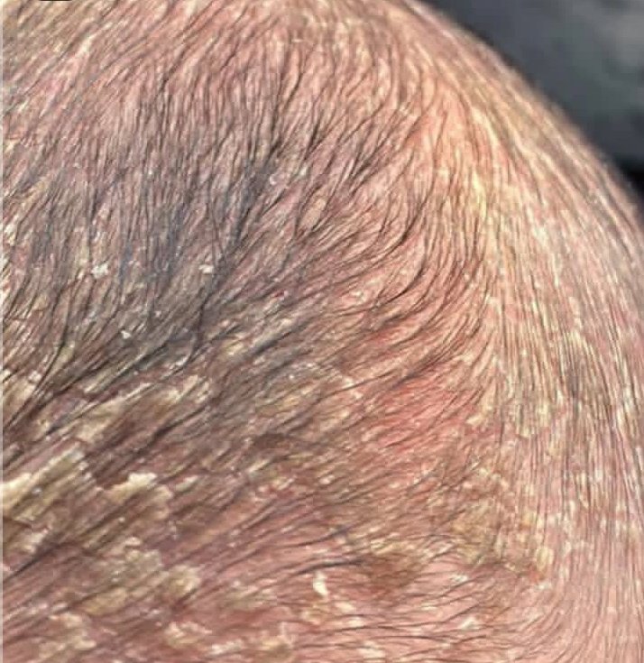 🍉*Fadi - Gaza Aid Request🍉 tweet media