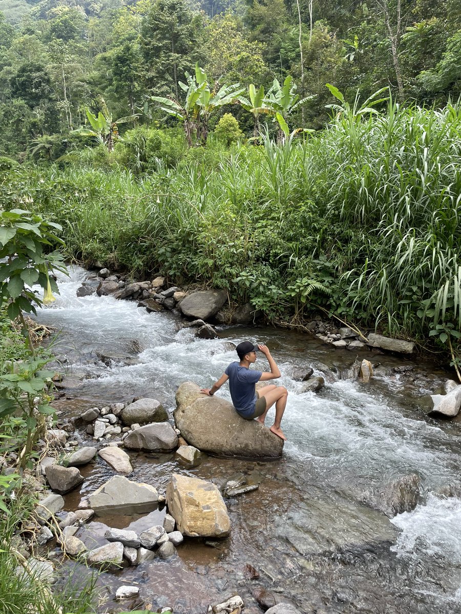 ican’t_fly✨ tweet media