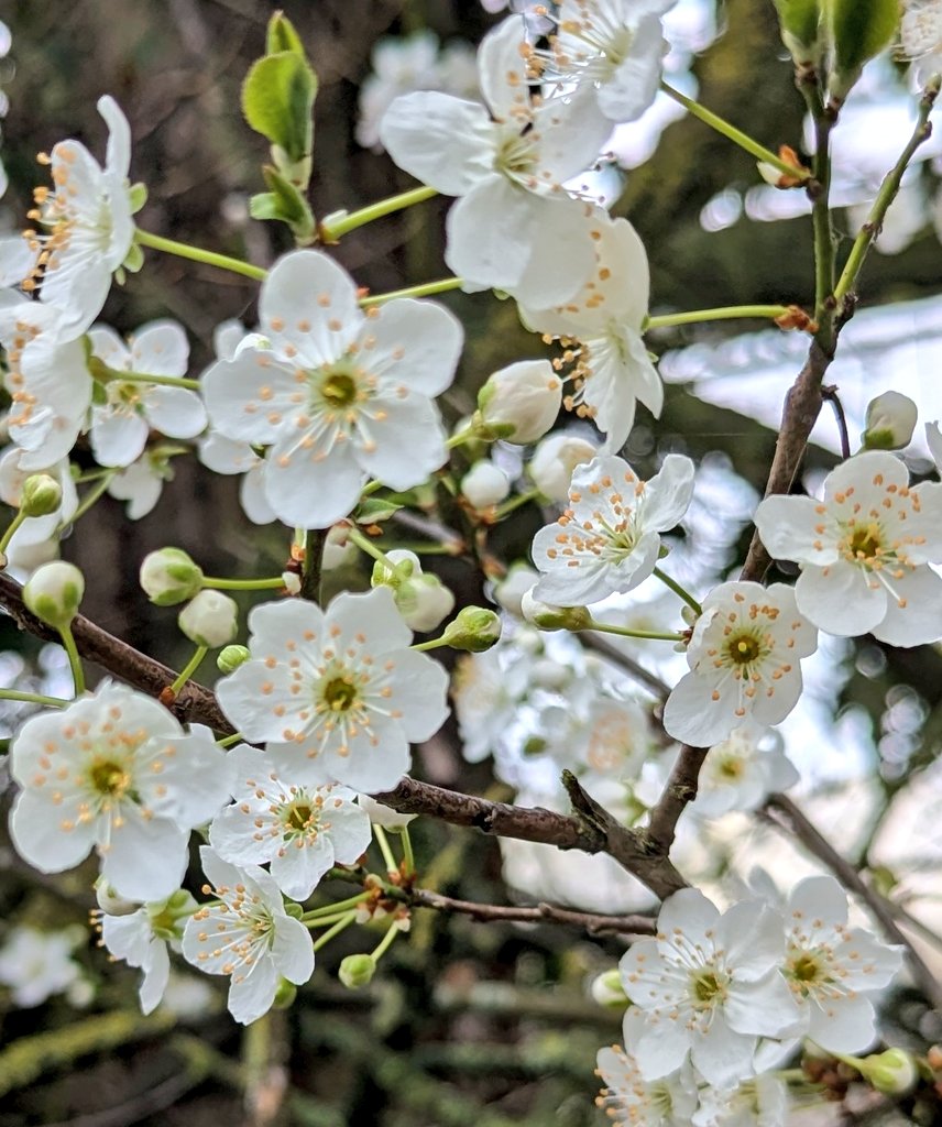 Aaron Mitchell ⛺️🏔️ tweet media