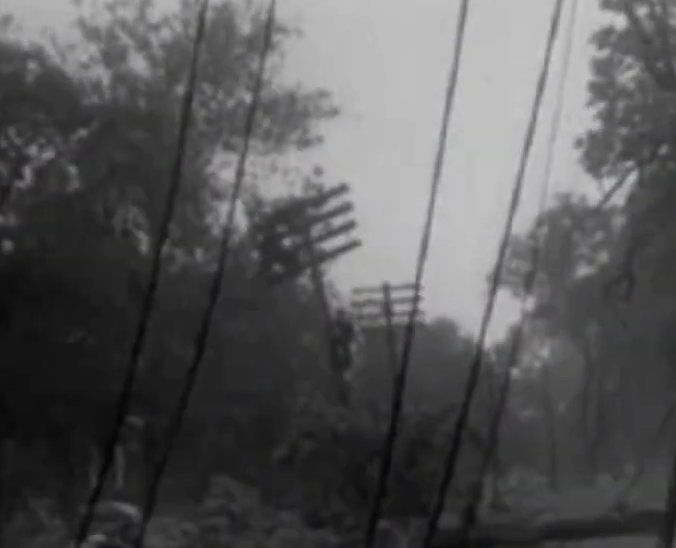 tucker 🪱 tweet media