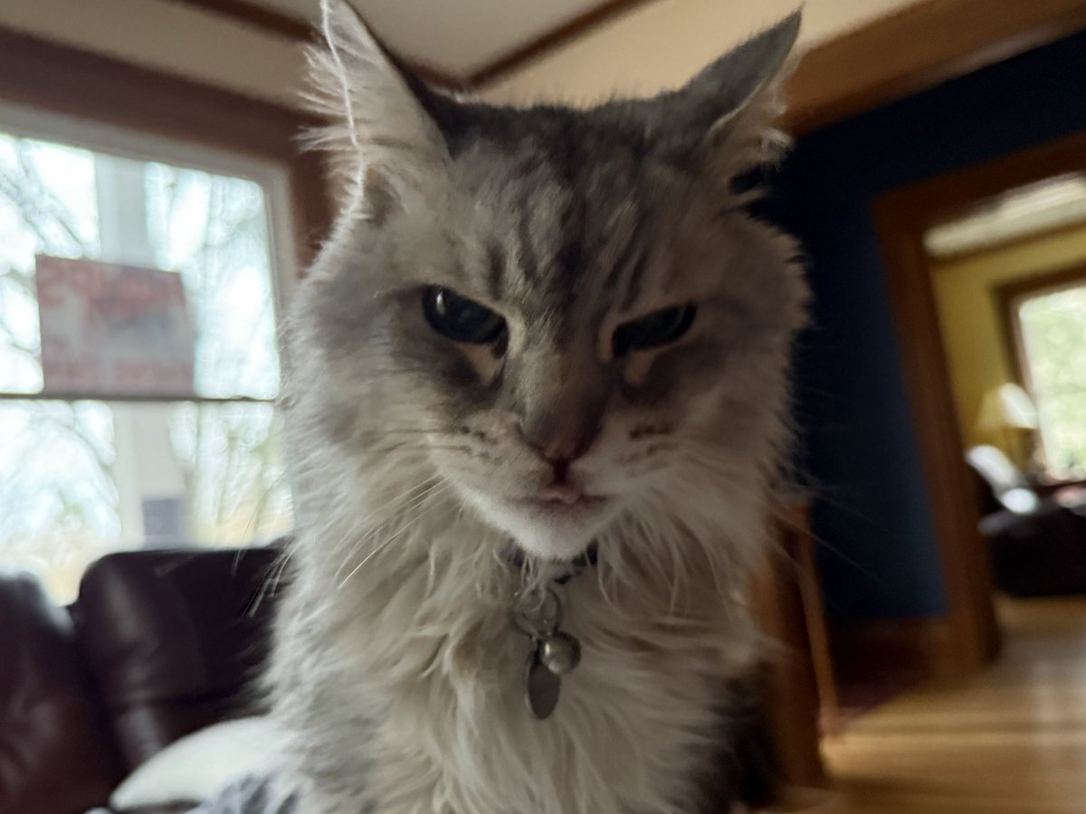 MaxAndHomer's tweet photo. can i come over and look at you like this https://t.co/up440F1m5e