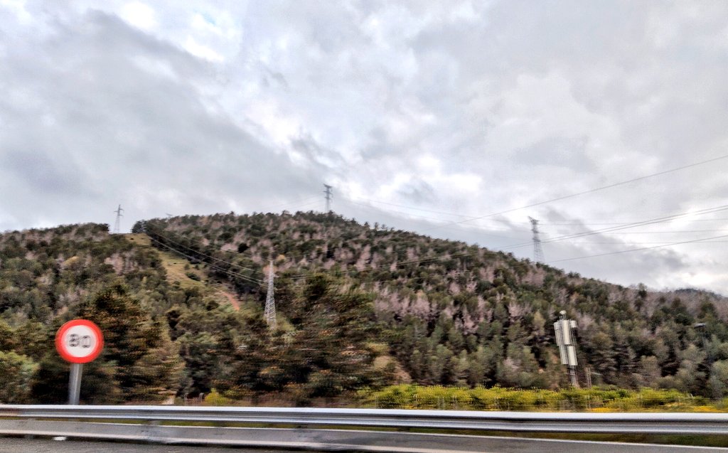 Nuestro Mar Menor tweet media