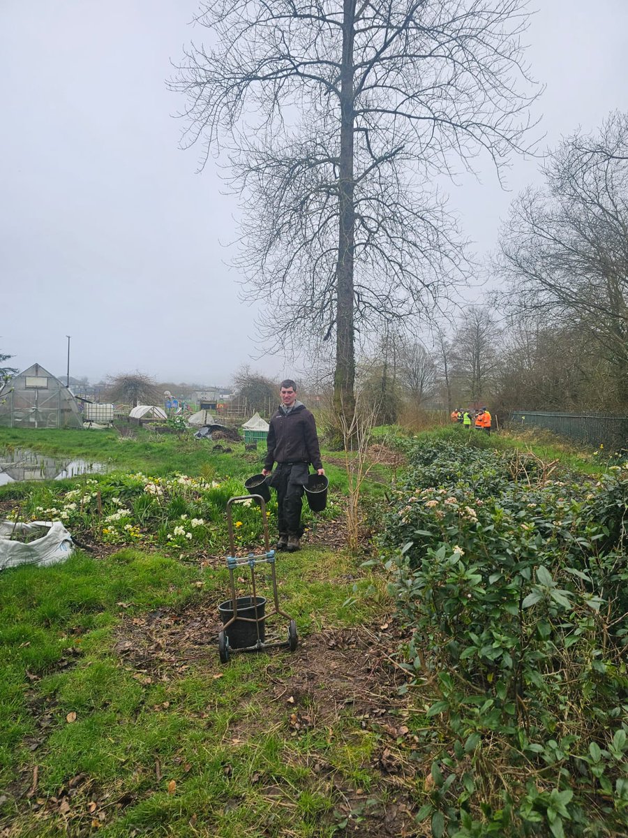 Togher Community Garden tweet media