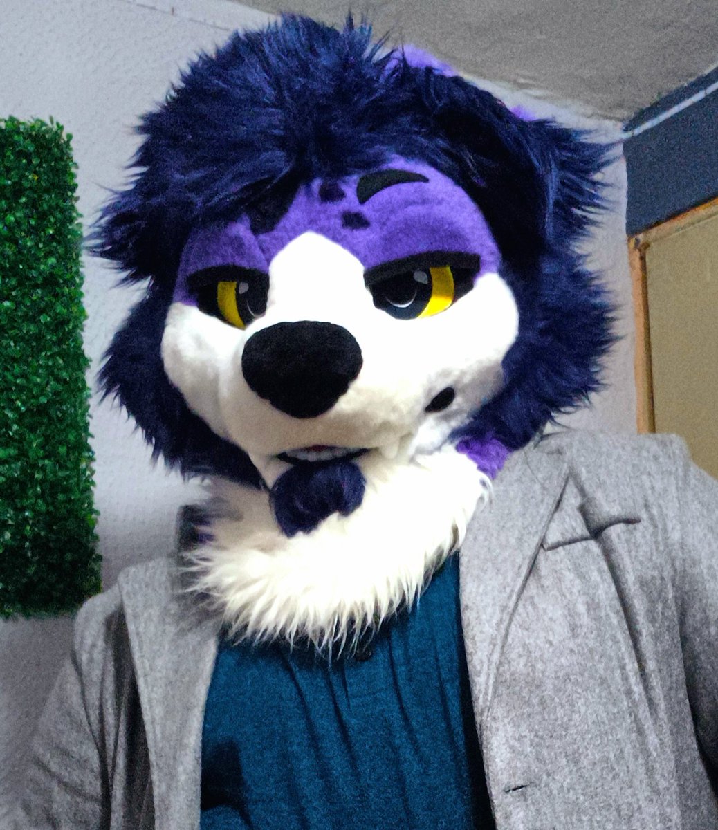 Sir Bernán Doggo✨️ tweet media