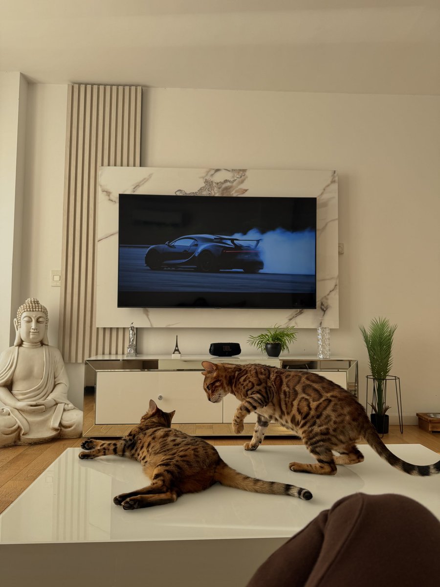 Sasha Ferro tweet media