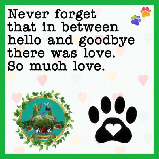 Hedgewatch tweet media