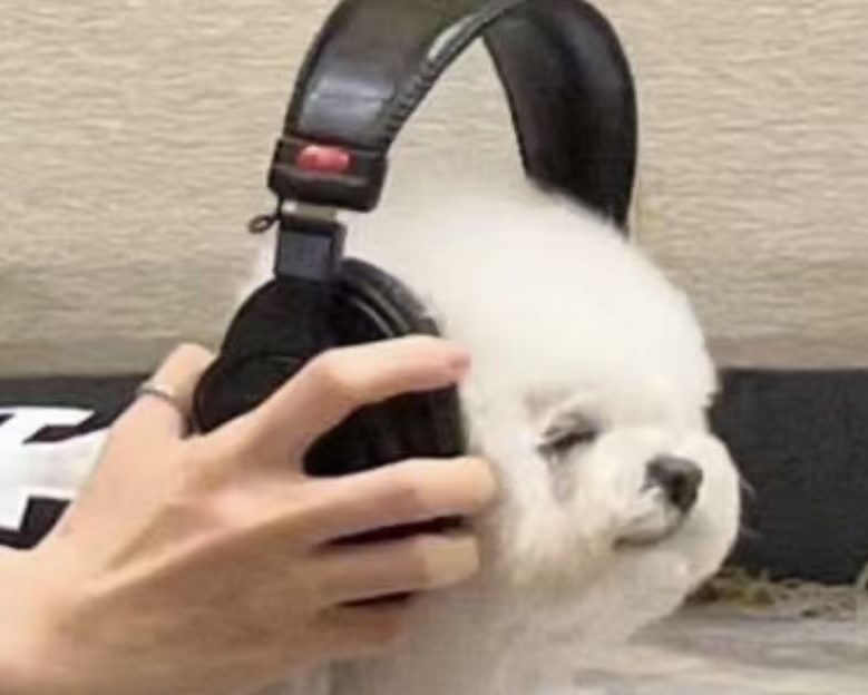 The FADER tweet media