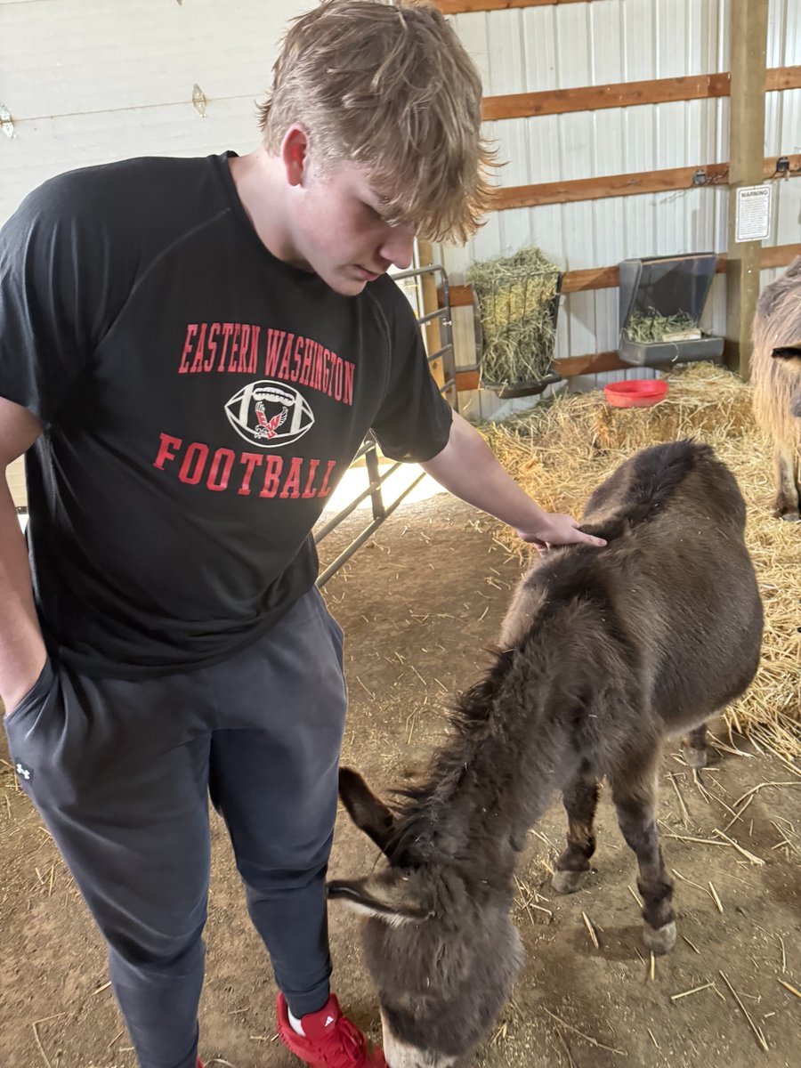 EWU Football 🏈 tweet media