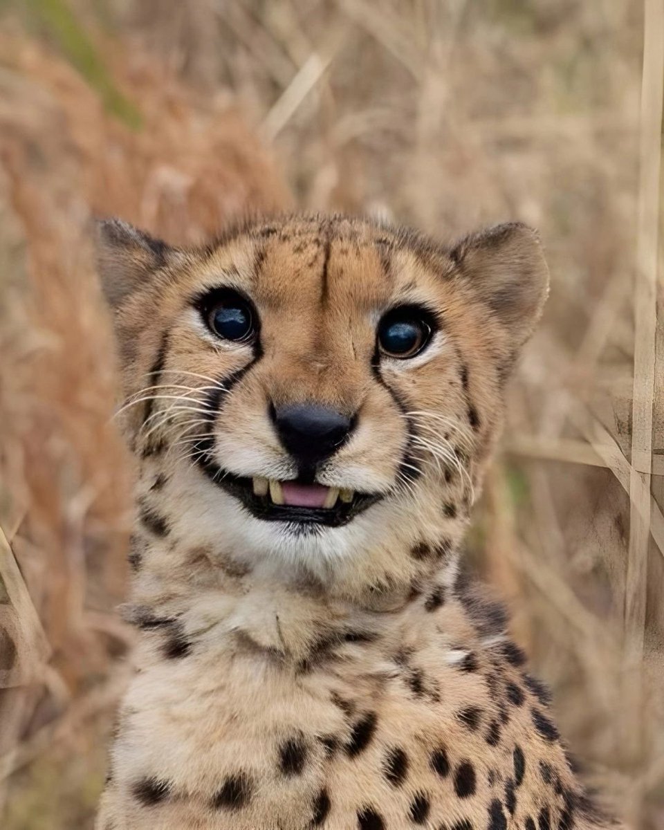 ᵀᵃʸ tweet media