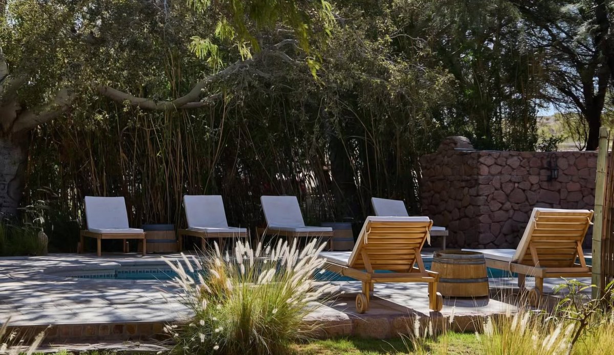 #MarioErnestoPeña tweet media