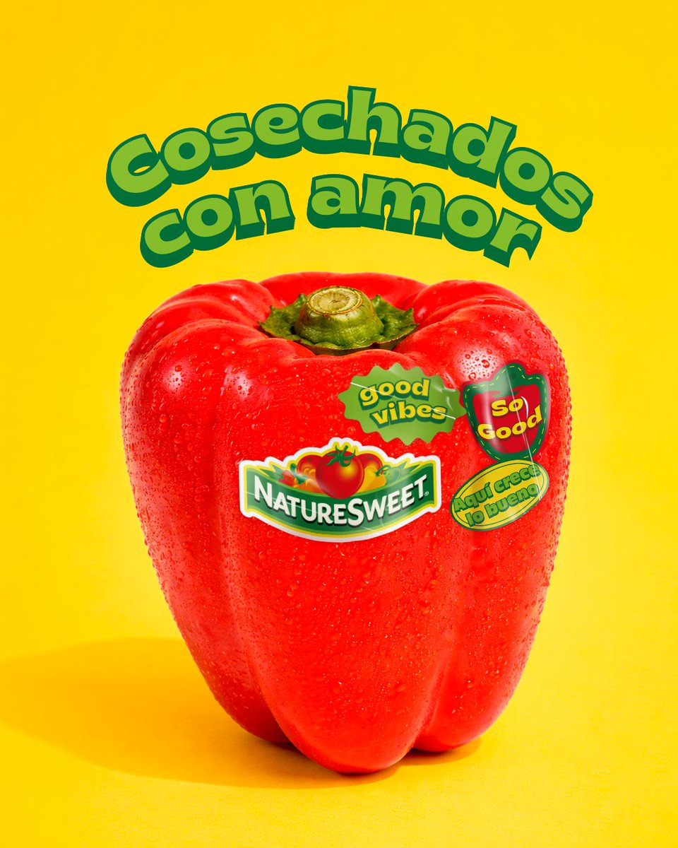 NatureSweetMex's tweet photo. Sabemos lo importante que es para ti cuidar lo que comes 🥗💚.

Por eso, en NatureSweet® atendemos nuestros productos desde el origen, para que lleguen frescos y llenos de sabor hasta tu mesa ✨🍅 https://t.co/0IaNGFbQR8