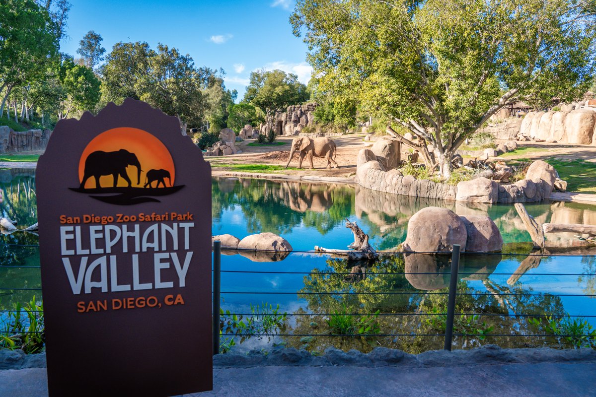 San Diego Convention Center tweet media