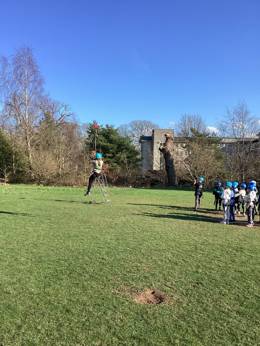 Capenhurst CE PS tweet media