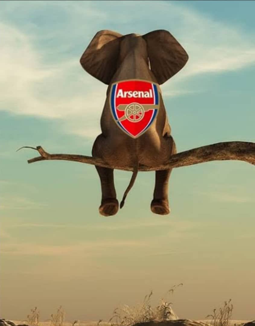 Seven Point Clear!!!!
#COYG 💪💪💪