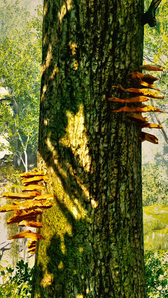 Adamir Sefwick tweet media