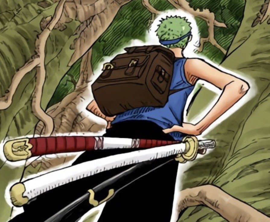 daily_zoro's tweet photo. babygirl https://t.co/jkIVYnx2XU
