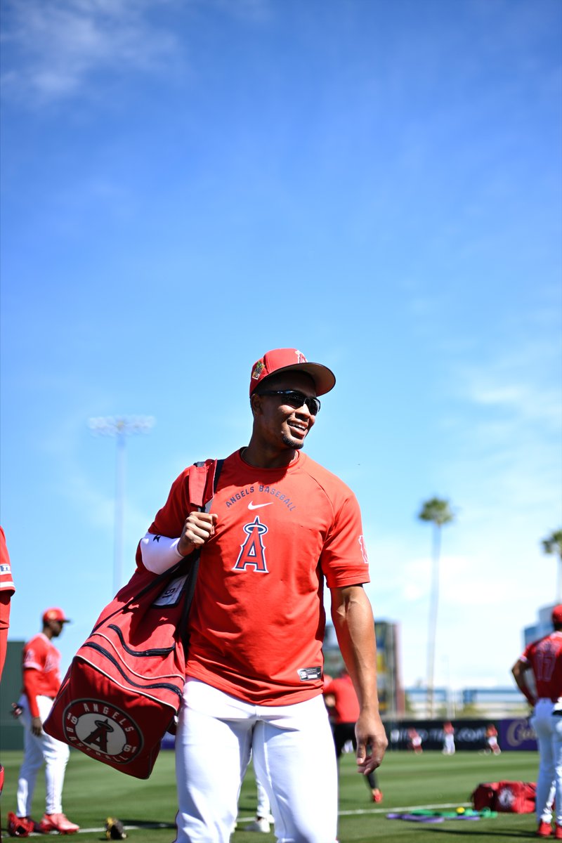 Angels Béisbol tweet media