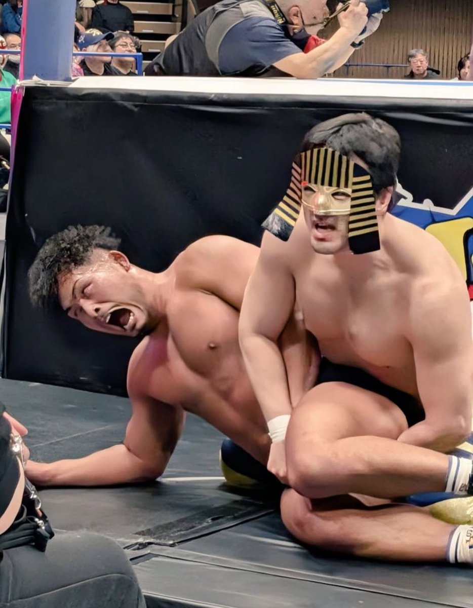 JobbingWrestle tweet media