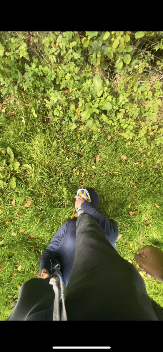 Master Medo | The Arab Collector tweet media