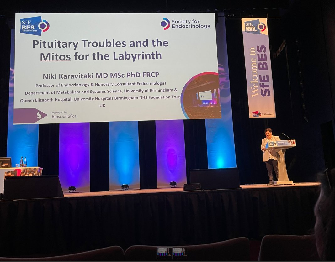 Niki Karavitaki tweet media